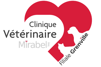 Clinique vétérinaire Mirabel inc. Filiale Grenville